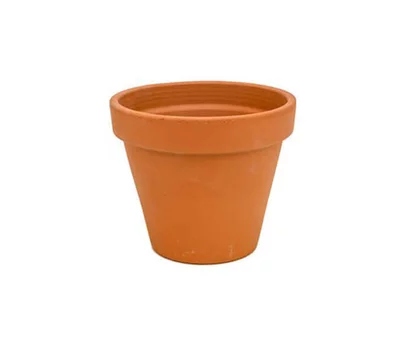 Pot en terre cuite NaturelDiam 5 cm