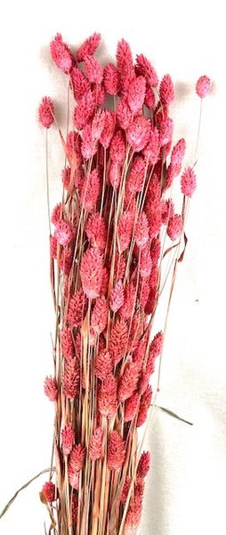 Sable coloré Rose  Matériel d'art floral et conseils pour la décoration  florale