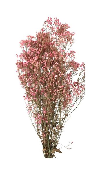 Sable coloré Rose  Matériel d'art floral et conseils pour la décoration  florale